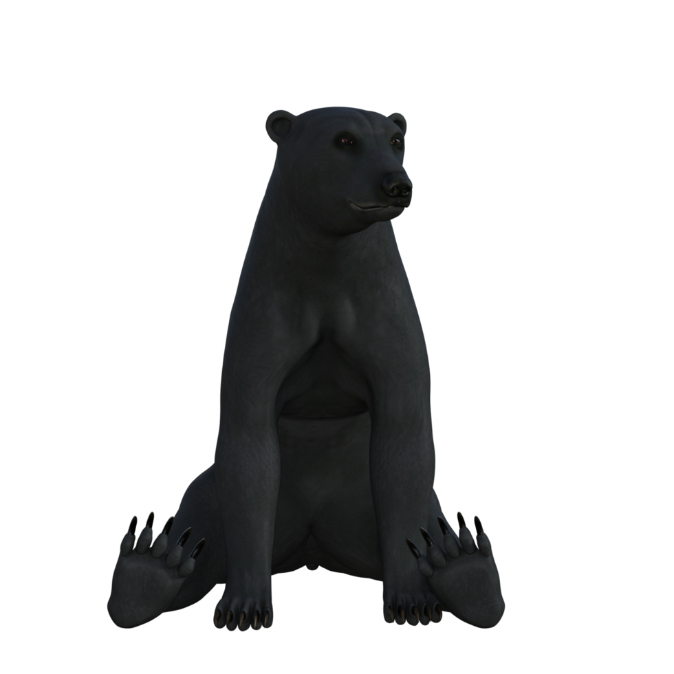 Black Bear cub isolated 3d rendering png