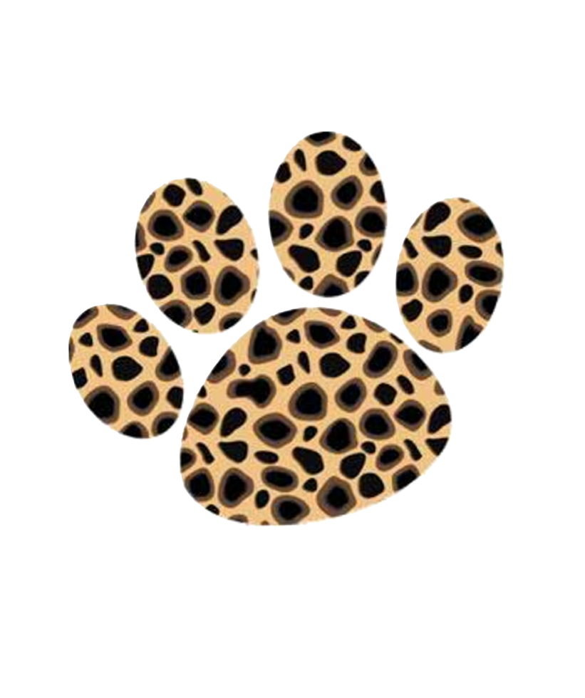 gepard Tass skriva ut, leopard skriva ut, katt skriva ut, hund skriva ut png