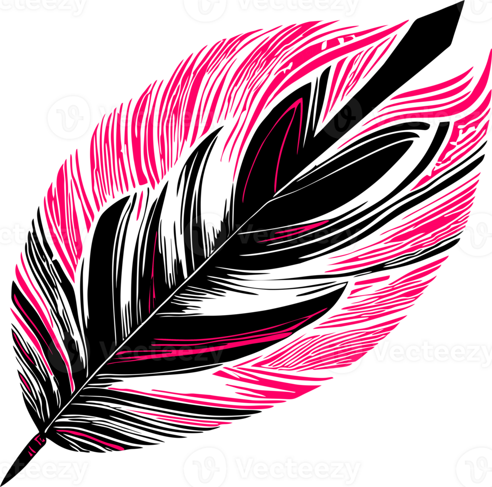 black and pink decorative bird feather without background, isolated element png