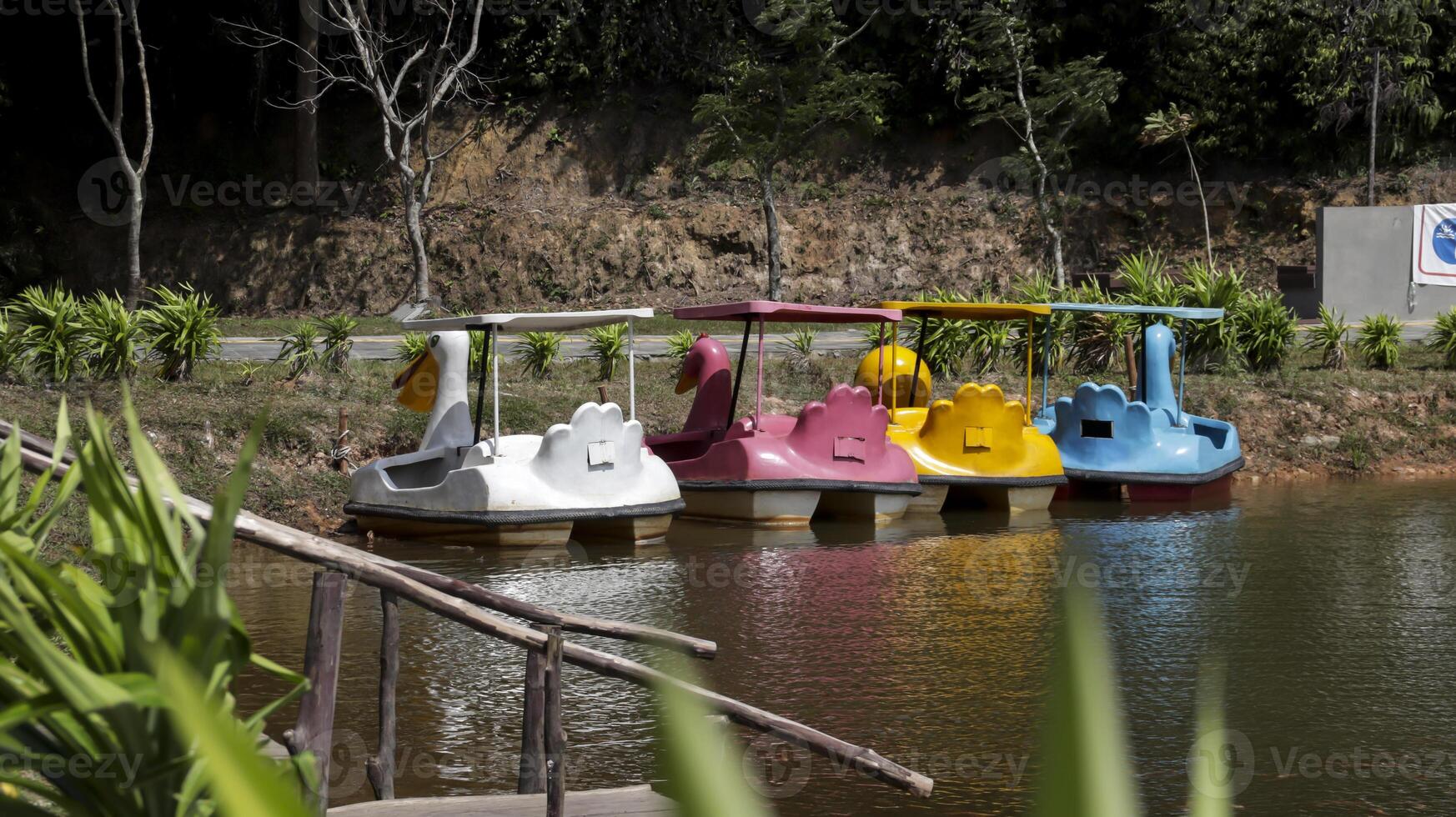 Colorful paddle wheeler pedal boat ducks at the side lake attractions. view from behind. photo
