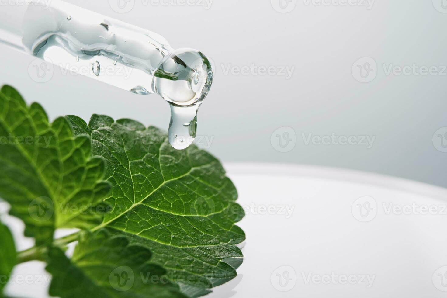 Pipette with Gel cosmetic drop and green leaf in petri dish on grey background photo