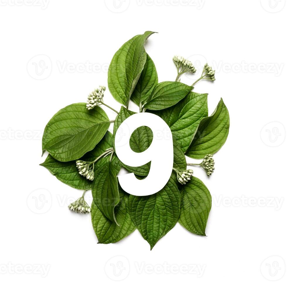Paper number nine on background of green leaves. Minimal creative Layout with natural elements for your design photo