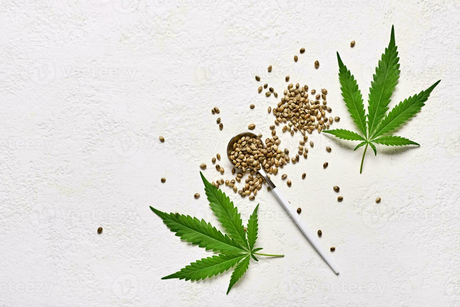 Cannabis seeds in spoon and leaves on white background. Top view with copy space photo