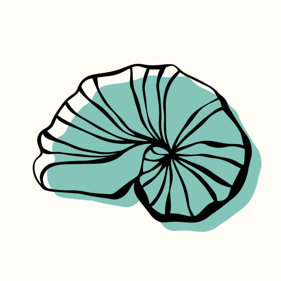 Shell with an outline in a trendy minimal style. Vector illustration of a shell clam for tattoo, design social media