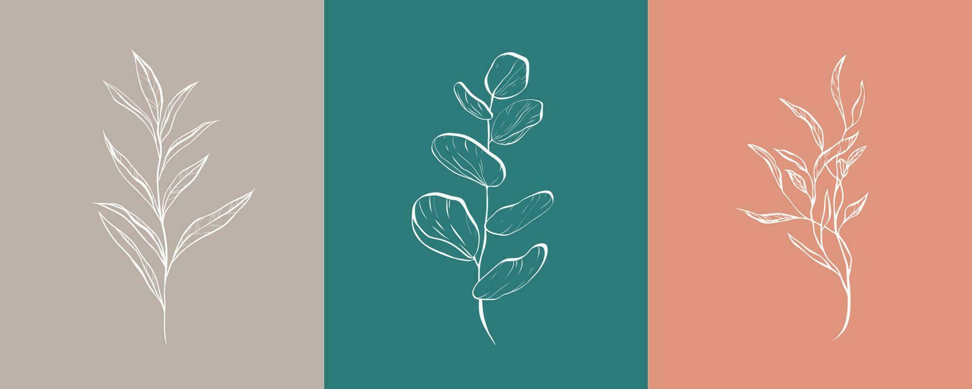 A set of fine white drawn bay leaf, eucalyptus leaf and tree leaf on colored background. With trendy summer color palette. For design, website, t-shirt print, tattoo, banner, social media vector