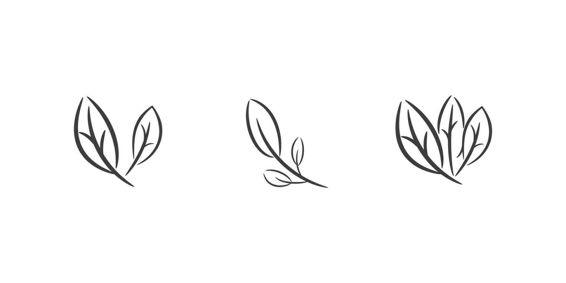 tea leaves decorative line art. simple leaves botanical branches with stem and foliage vector illustration.