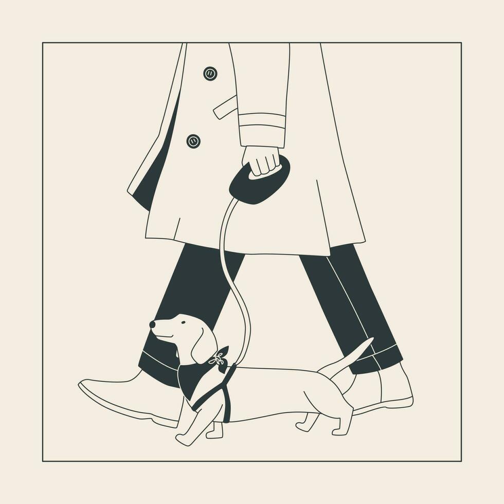 A man in a coat with a small dog on a leash. Cute dachshund for a walk. Dog show or dog walking in the city or in the park. Vector flat contour graphics.