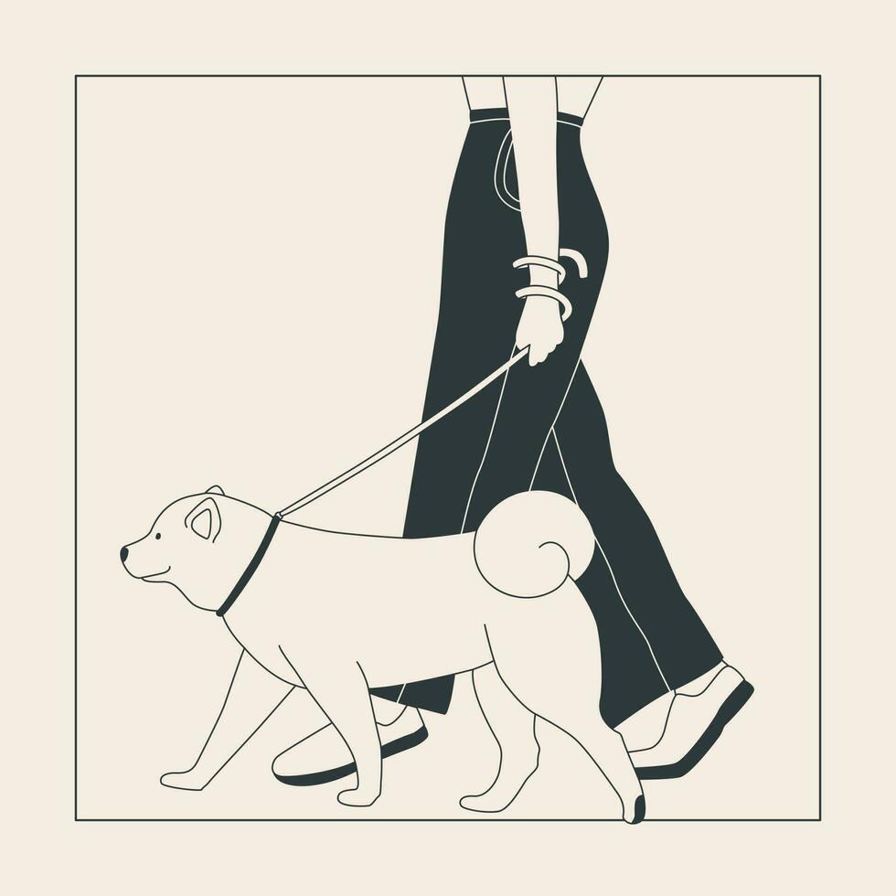 Young woman with a dog on a leash. Cute Akita Inu for a walk. Dog show or dog walking in the city or in the park. Vector flat contour graphics.