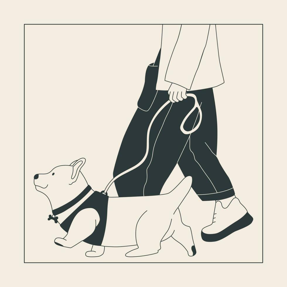 un hombre camina un perro en un Correa. linda corgi en un caminar. perro espectáculo o perro caminando en el ciudad o en el parque. vector plano contorno gráficos.