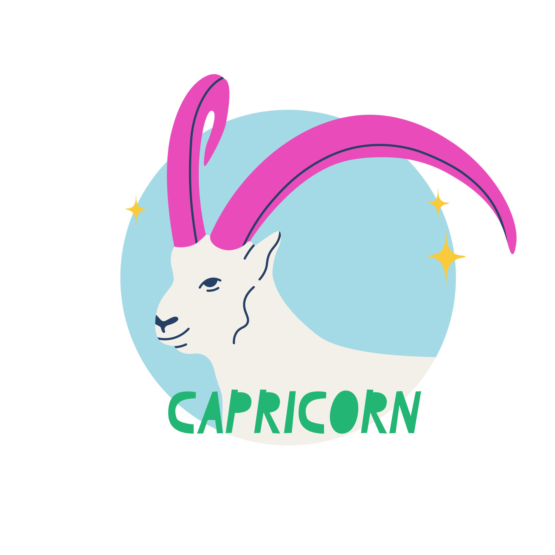 Capricorn zodiac sign. The tenth symbol of the horoscope