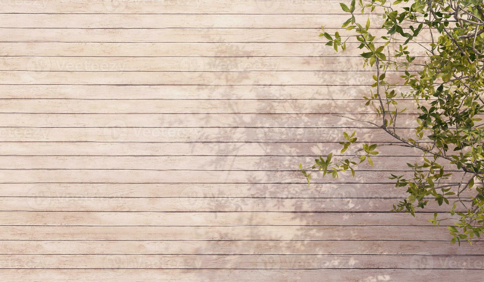 wood grain background And trees with shadows that hit Old wood grain There are traces of decay 3D illustration photo