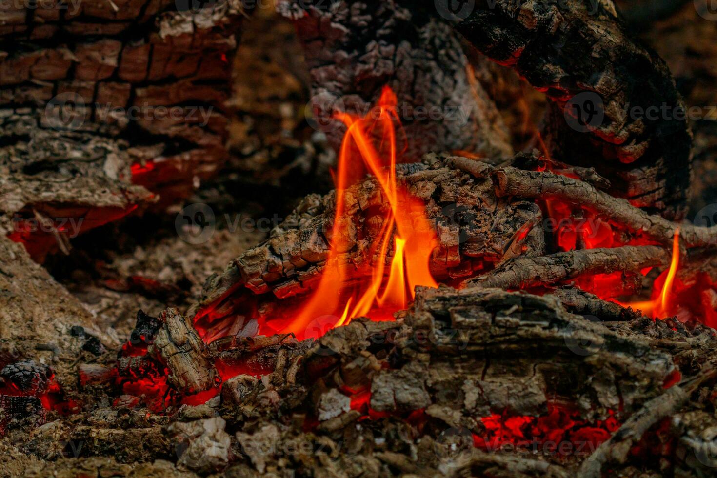texture flame from burning logs at night photo