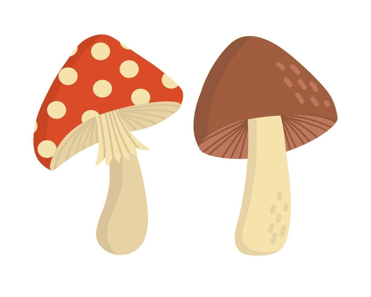 Doodle flat clipart. Edible brown mushroom. All objects are repainted. vector