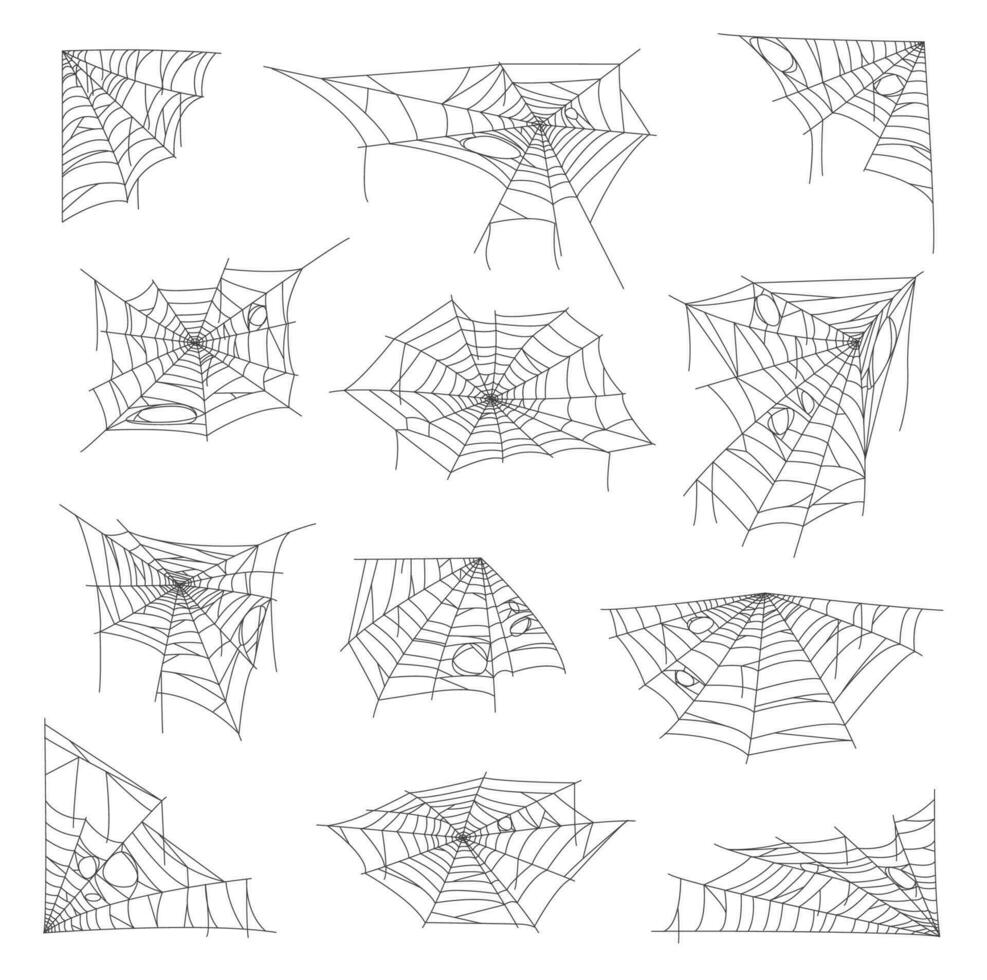 Halloween holiday sticky cobweb and spider web vector