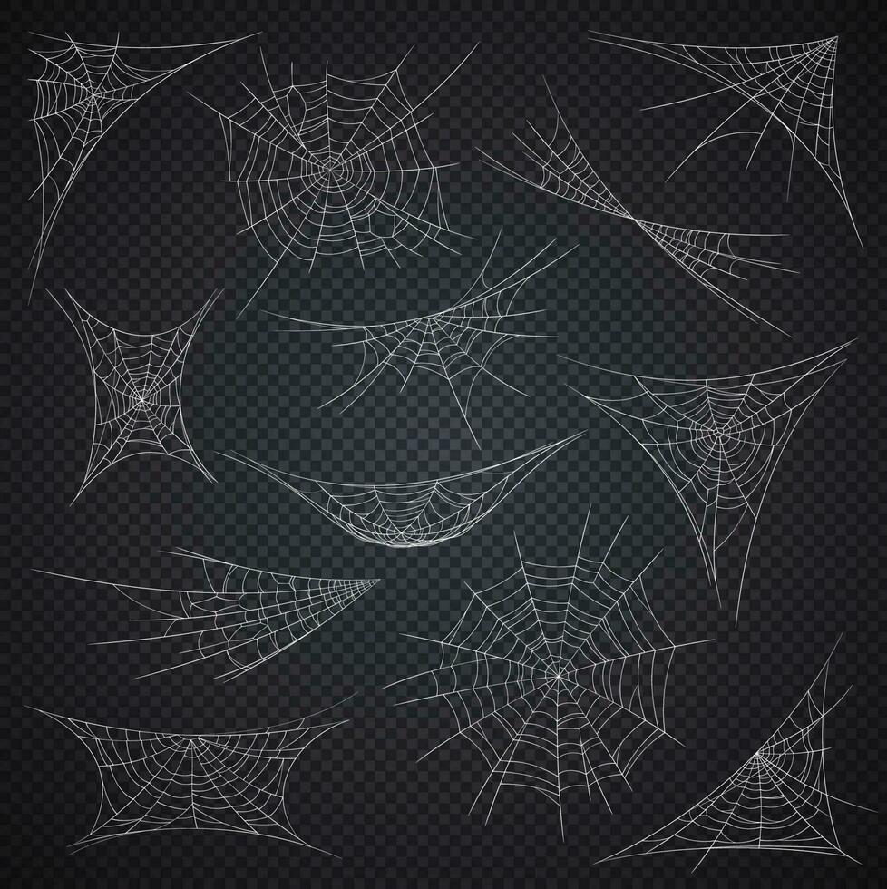 Isolated spider web and cobweb, Halloween holiday vector