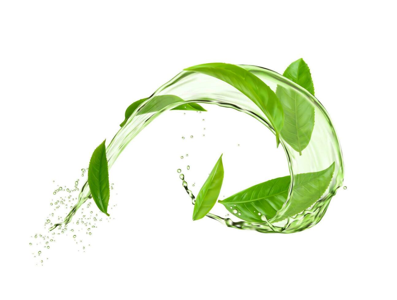 Herbal tea round swirl splash with green leaves vector