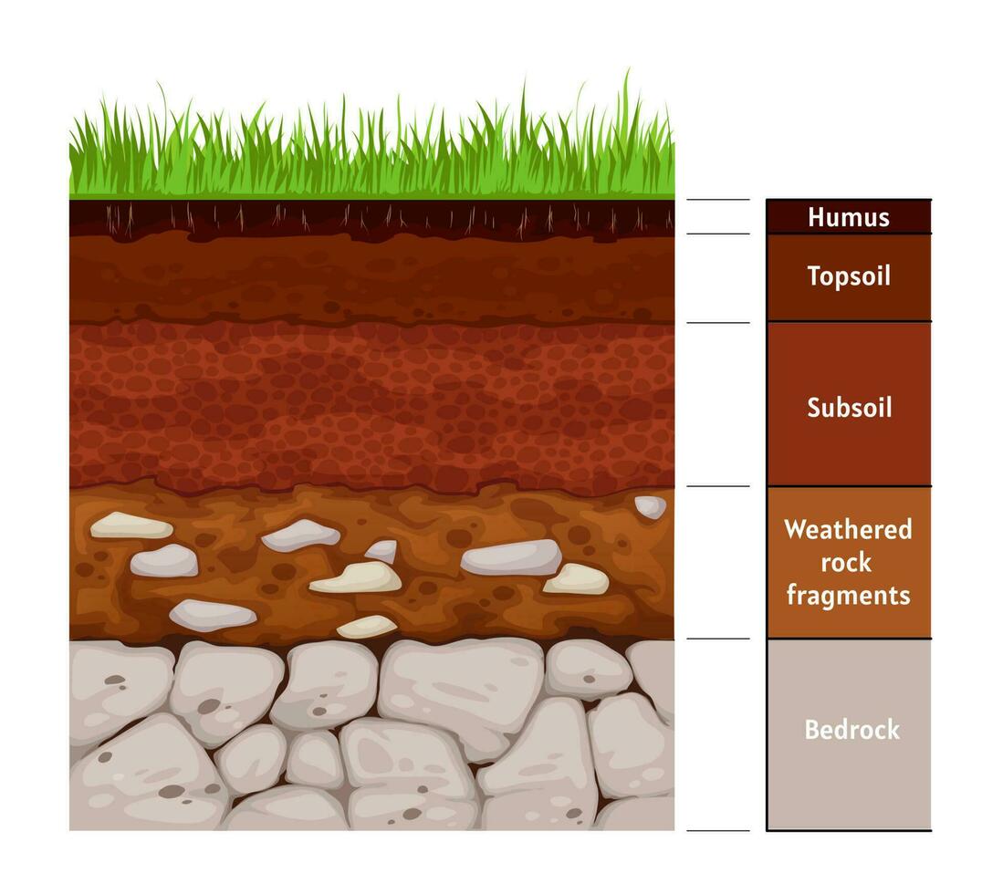 infografía de la capa del suelo, formación geológica de la tierra vector