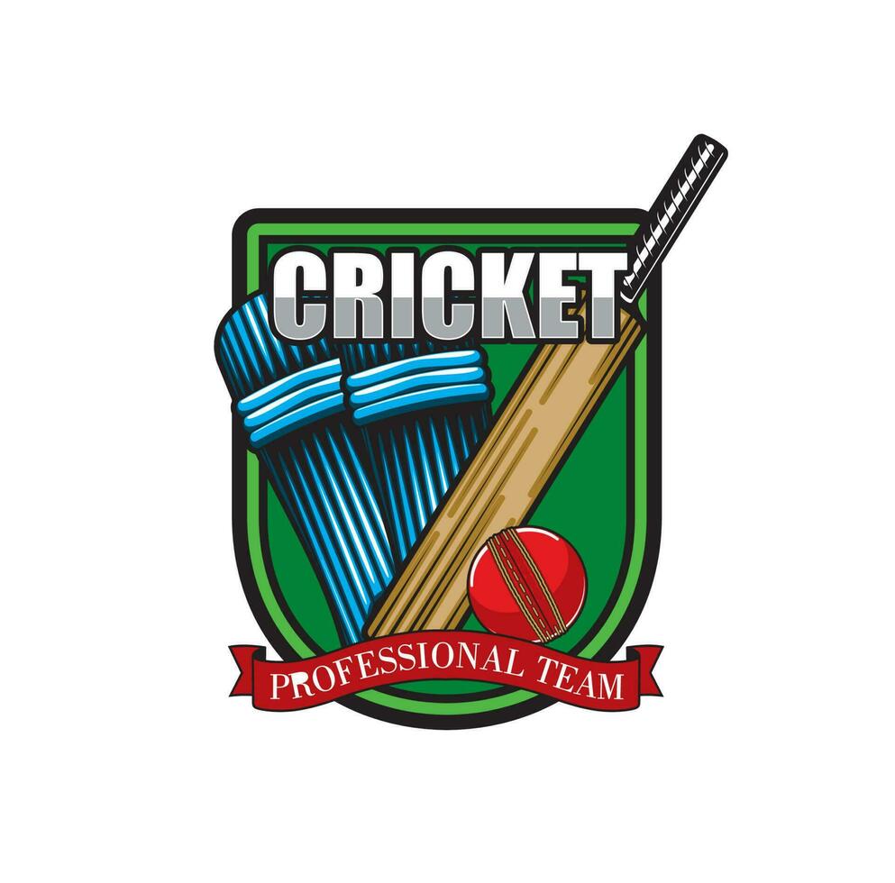 Cricket game icon with bat, ball protective shield vector