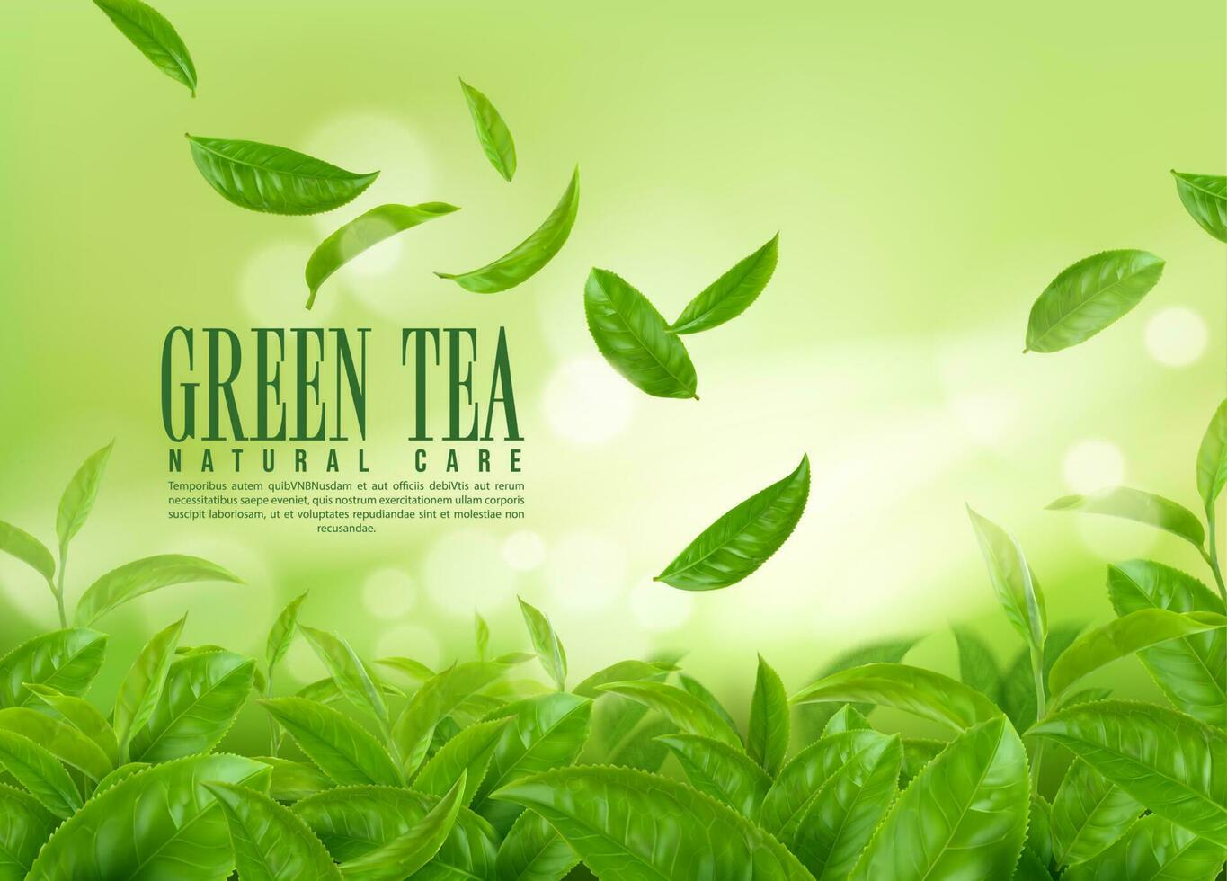 Herbal green tea plantation. Falling tea leaves 23530850 Vector Art at