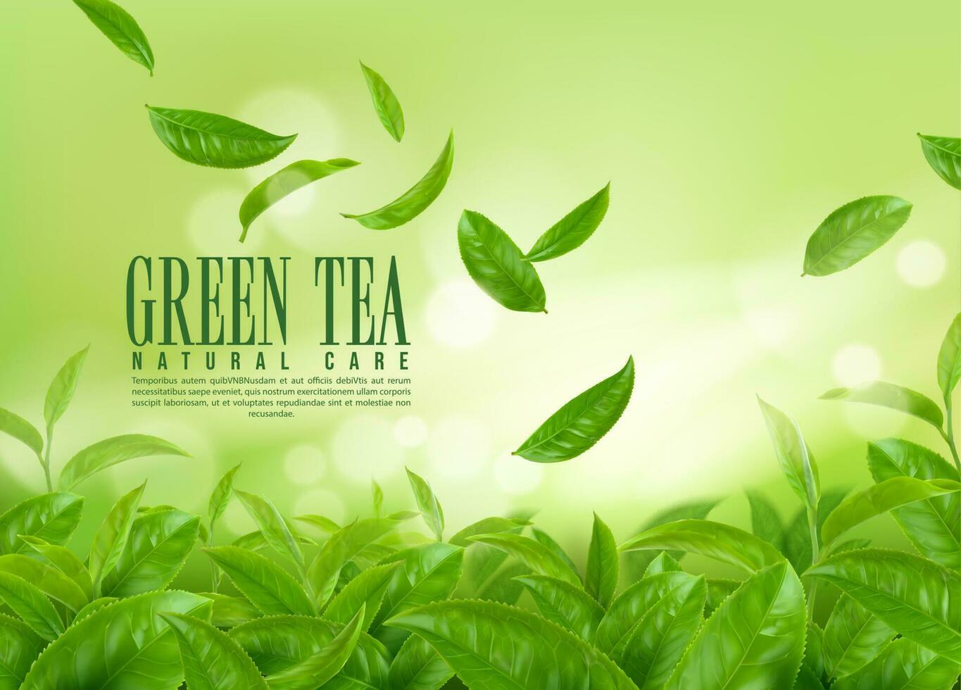 Herbal green tea plantation. Falling tea leaves vector