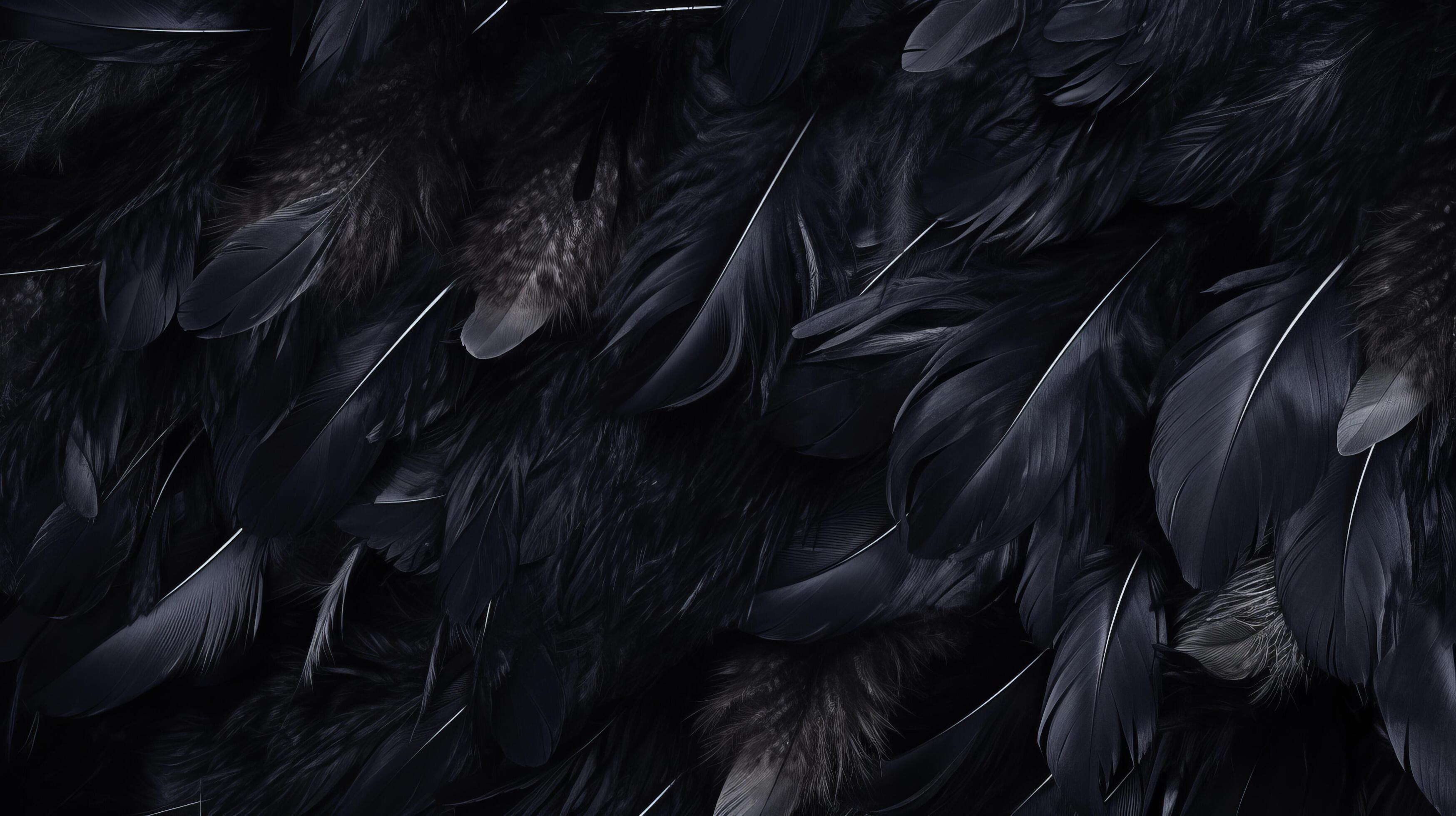 Black feather background. Illustration AI Generative 23531204