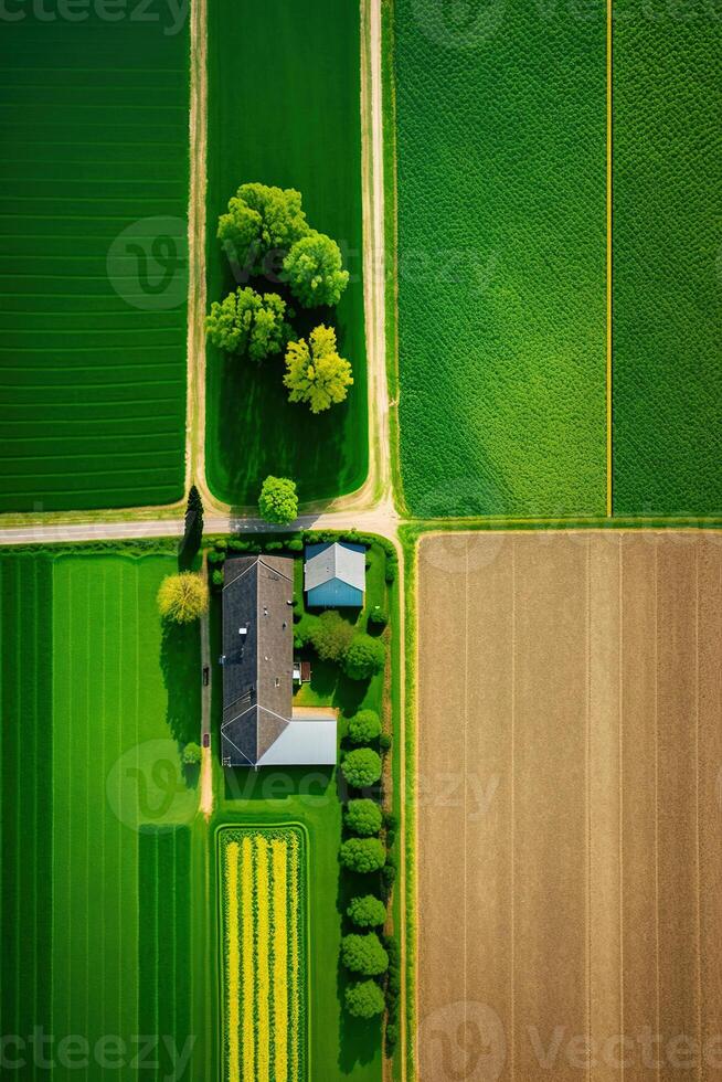 , Farm landscape, agricultural fields, beautiful countryside, country road. Nature Illustration, photorealistic top view drone, vertical format photo