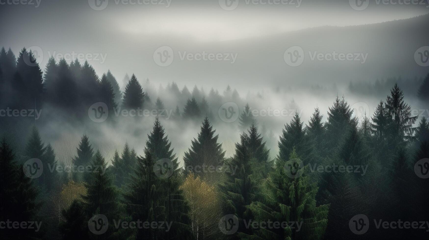 , Misty fir forest beautiful landscape in hipster vintage retro style, foggy mountains and trees photo