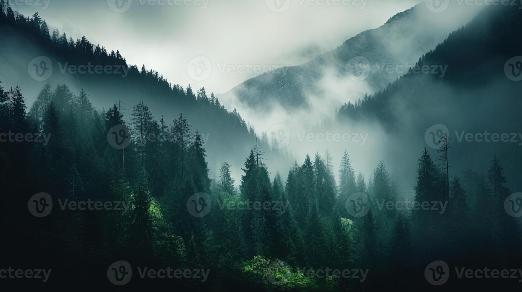 , Misty fir forest beautiful landscape in hipster vintage retro style, foggy mountains and trees photo