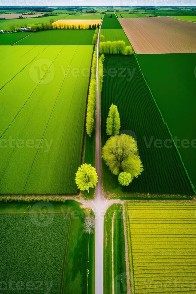 , Farm landscape, agricultural fields, beautiful countryside, country road. Nature Illustration, photorealistic top view drone, vertical format photo