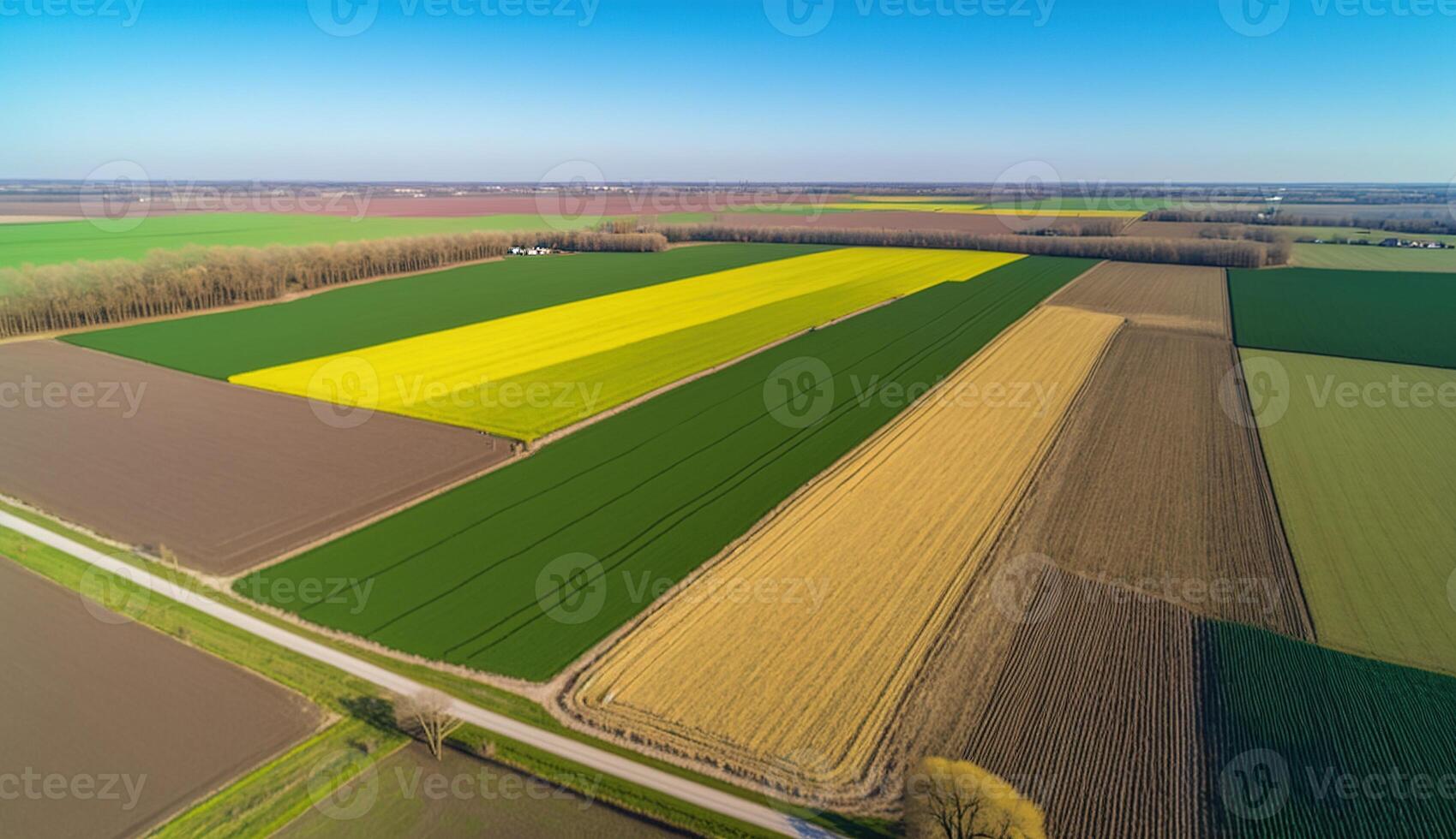 , Farm landscape, agricultural wheat fields, beautiful countryside, country road. Nature Illustration, photorealistic top view drone, horizontal banner. photo