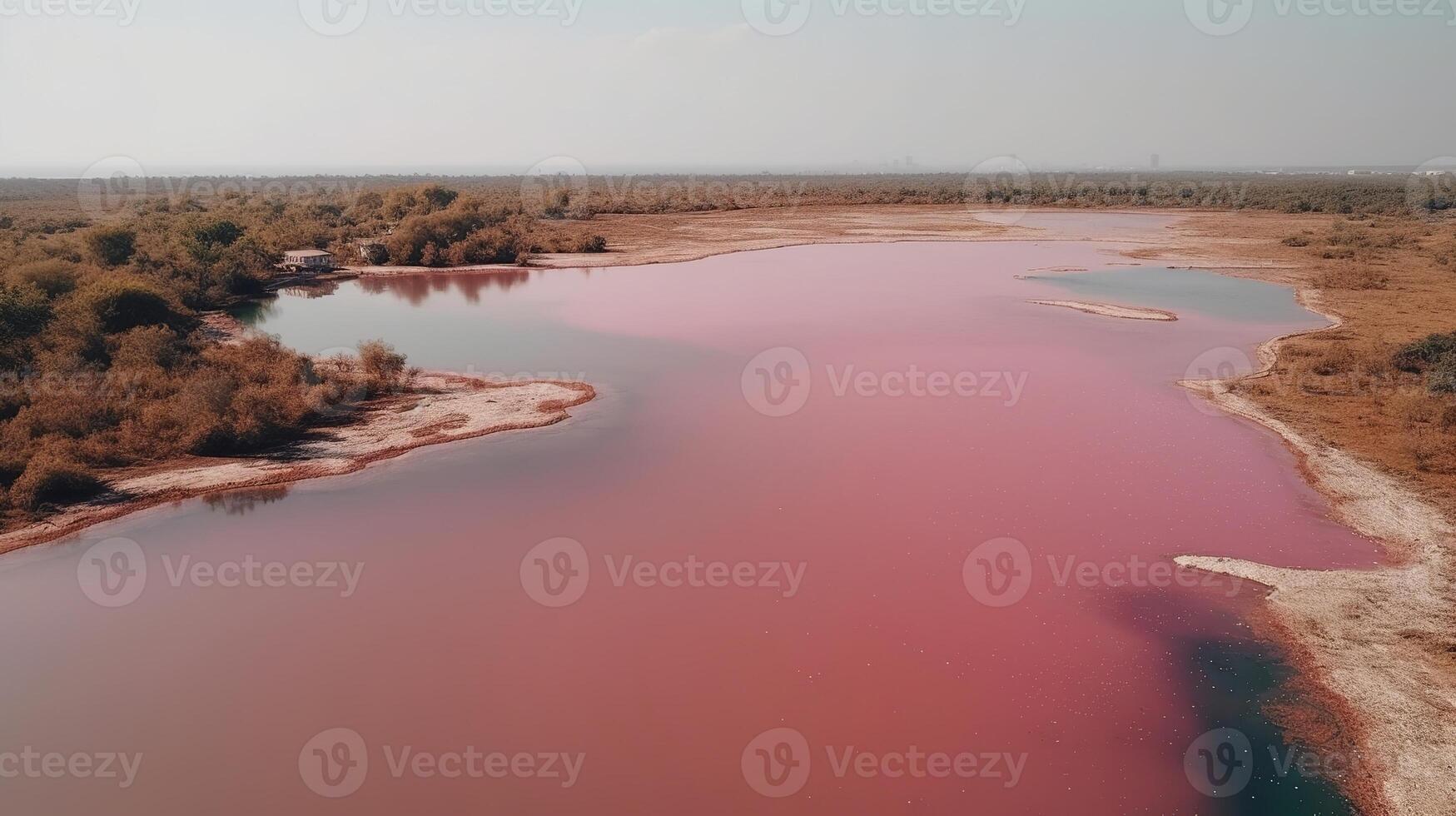 Ethereal see of pink lake, shocking see from drift. photo