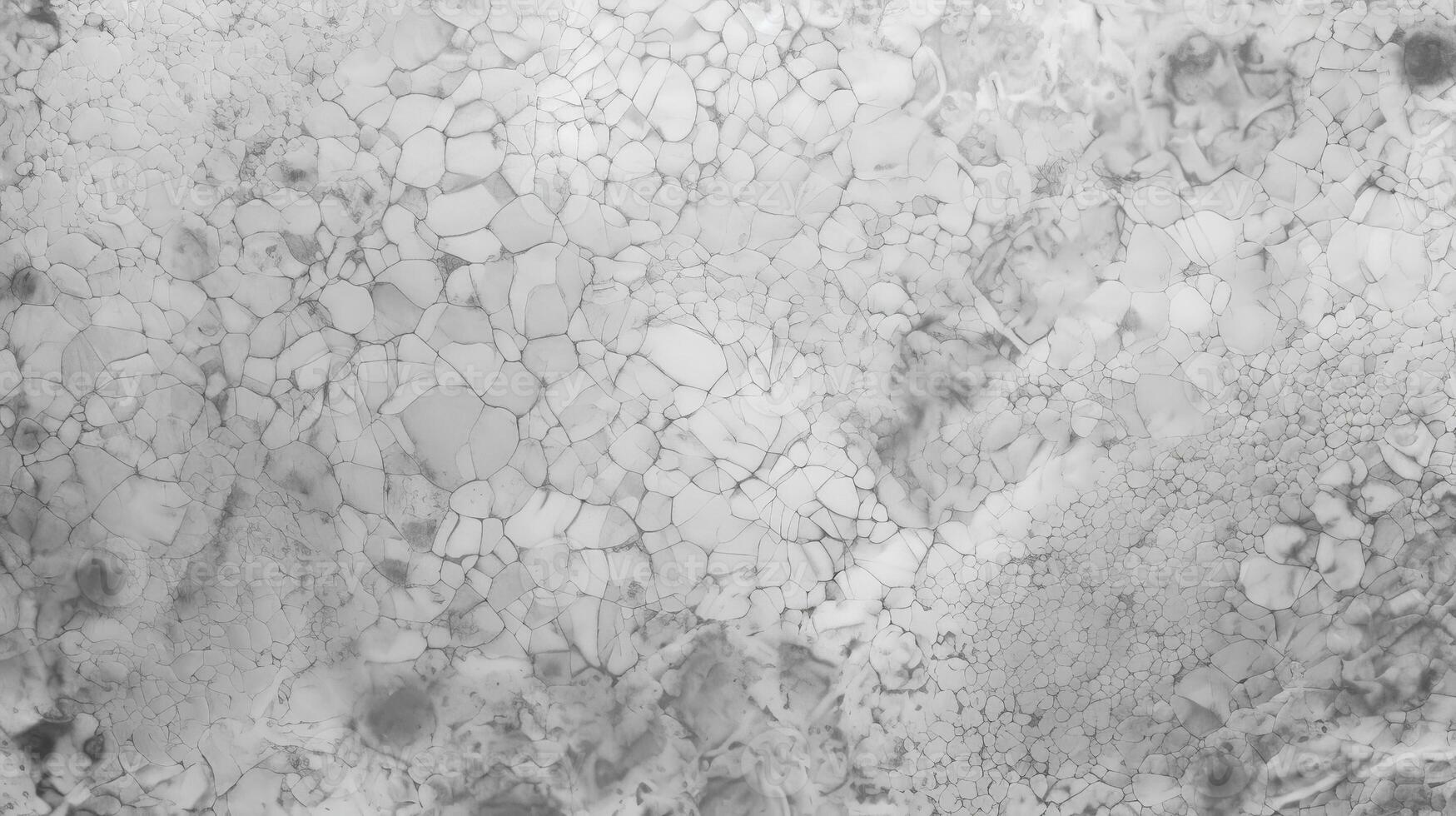 Hypothetical chosen and retro organize gray and white stone concrete divider theoretical establishment. Creative resource, photo