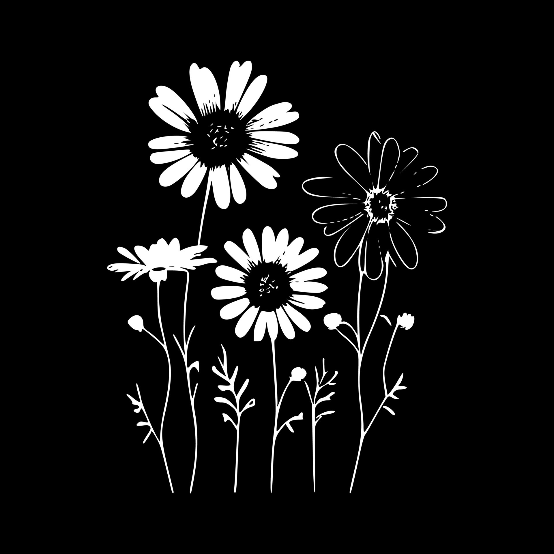 Daisies, Black and White Vector illustration 23536732 Vector Art at