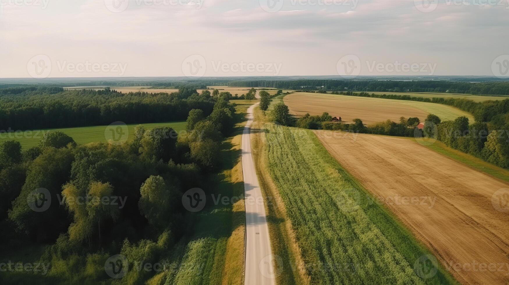 Wind airborne see - primitive street in summer. photo