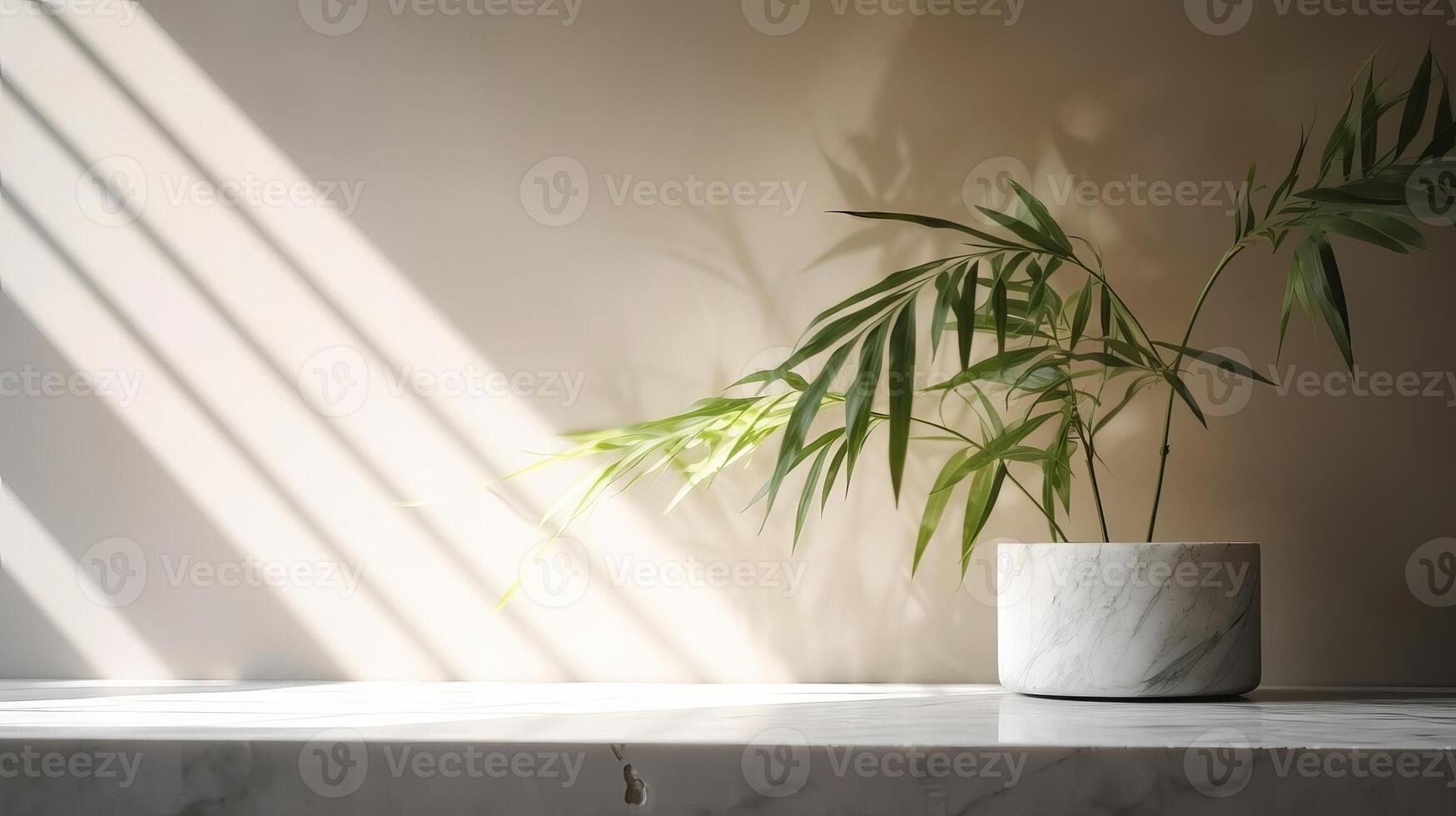 Separated beige cotton tablecloth on counter table, tropical dracaena tree in sunshine on white divider establishment. photo