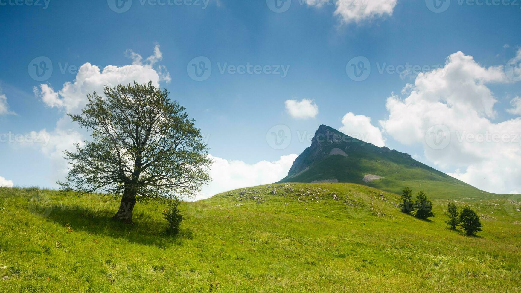 Scenic mountains view photo
