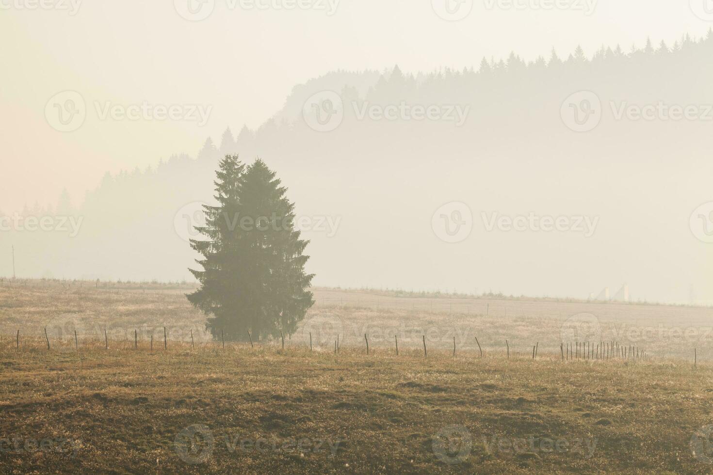 Scenic foggy view photo