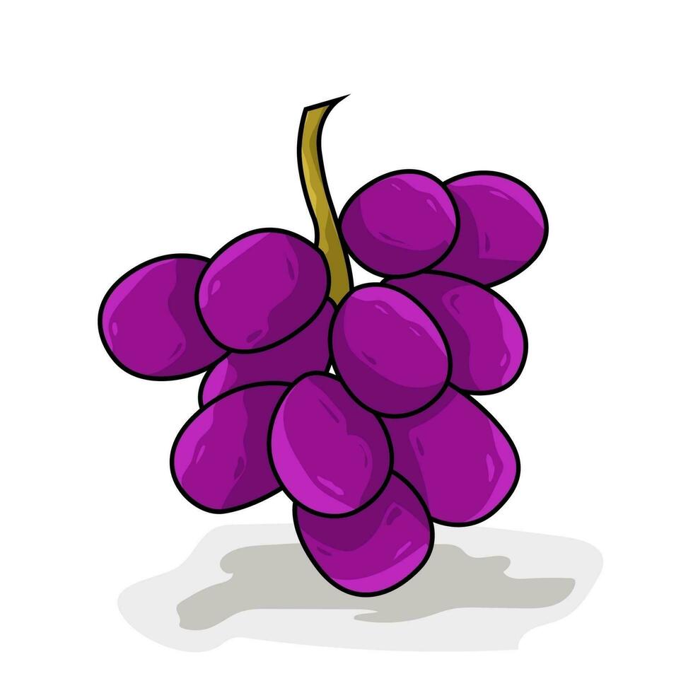 Grape vector illustration , fresh peach detail closeup summer tempalte fruit , market season diet vitamint colorful