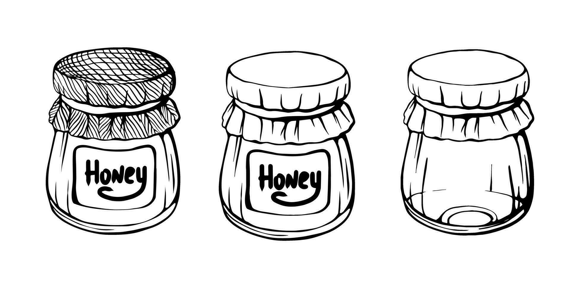 Jars of honey . Bee honey. vector