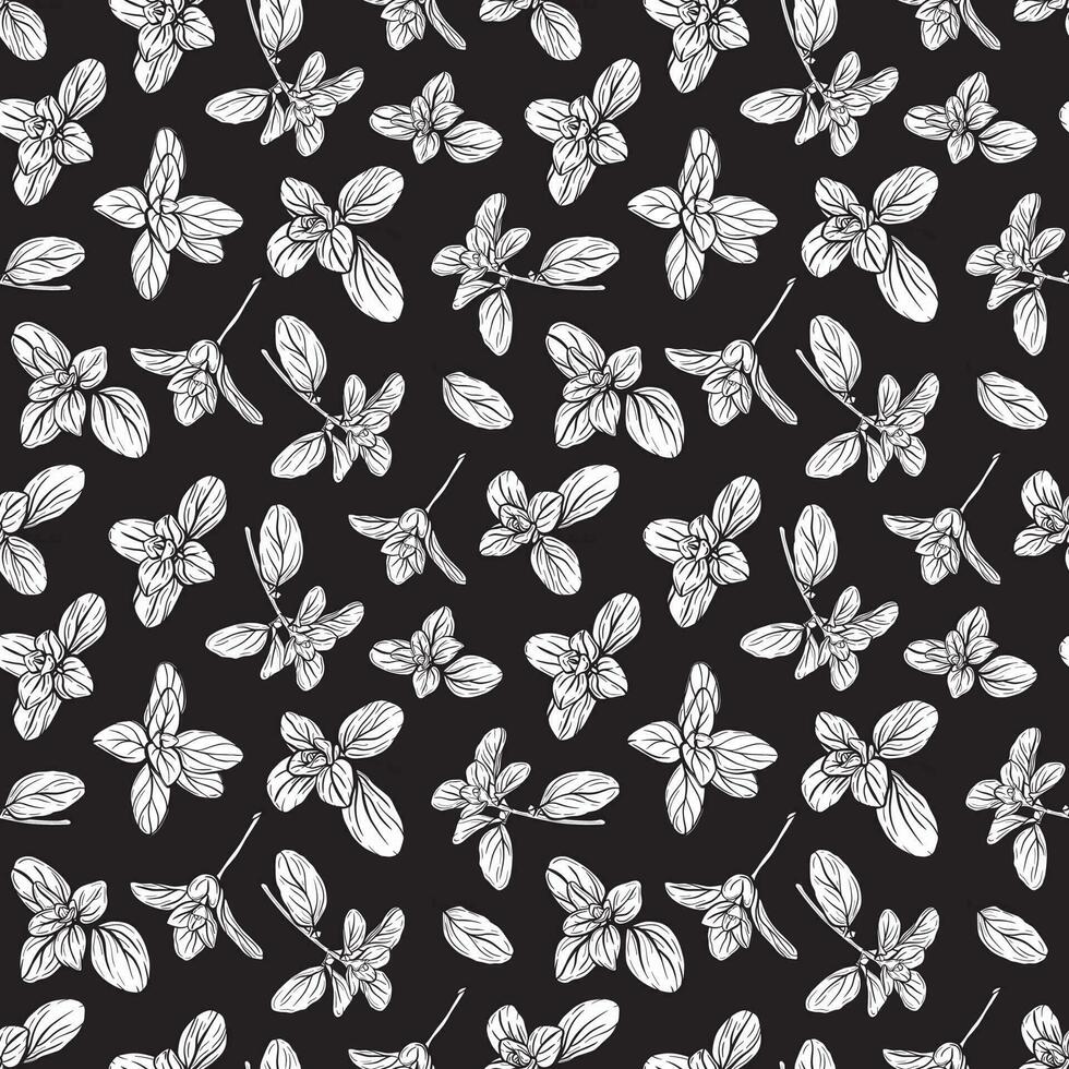 herbs seamless pattern vector