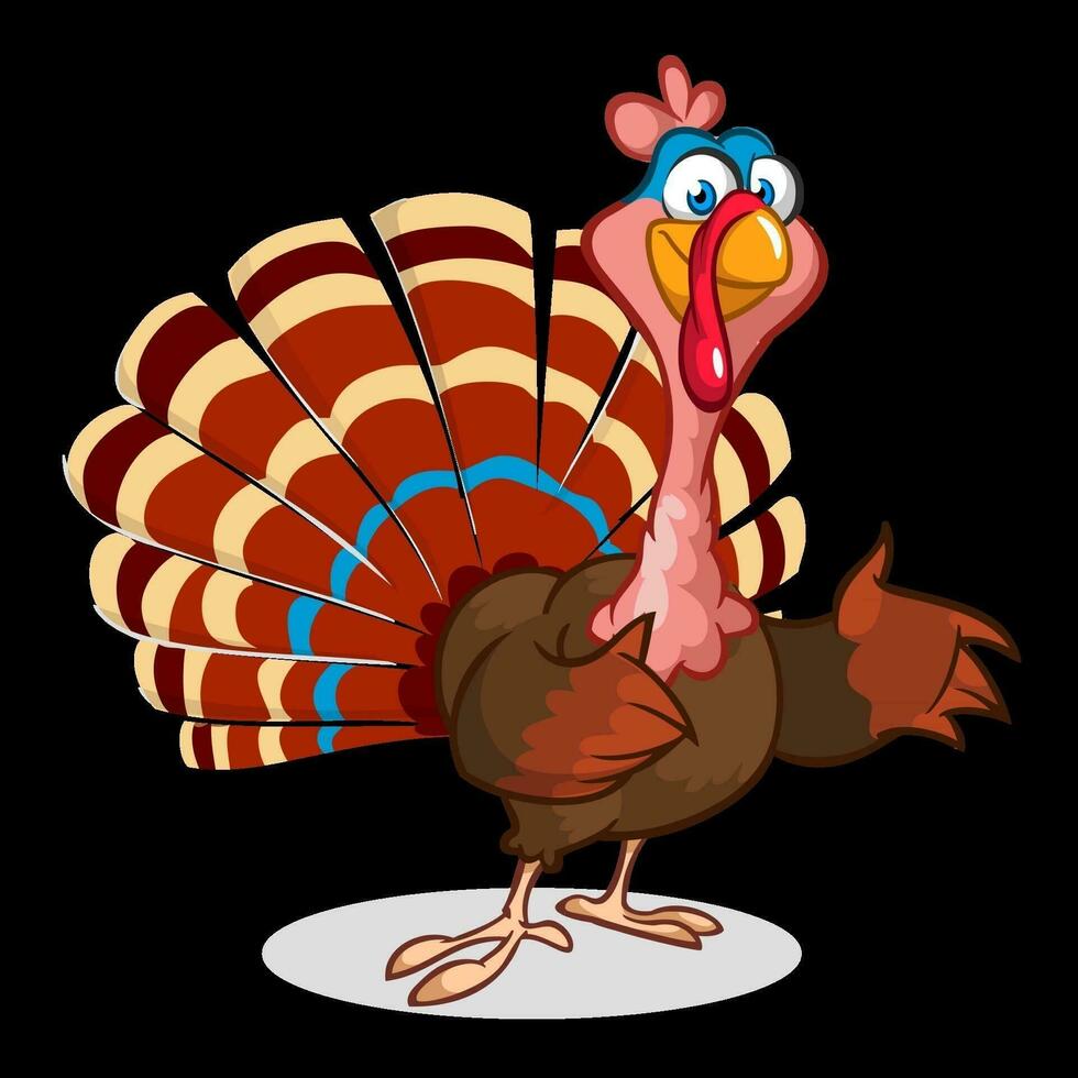 Turkey cartoon bird. Vector illustration isolated white background