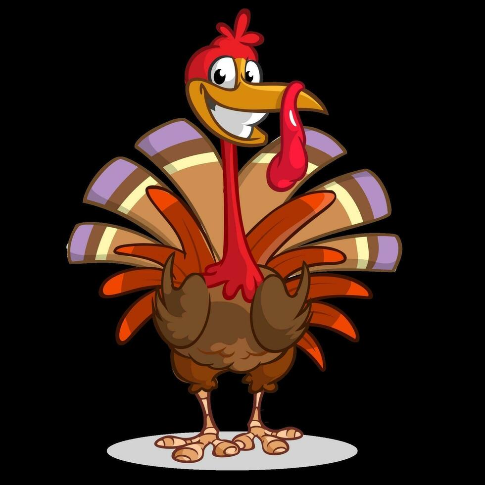 Cartoon turkey bird. Thanksgiving vector illustration isolated on white background