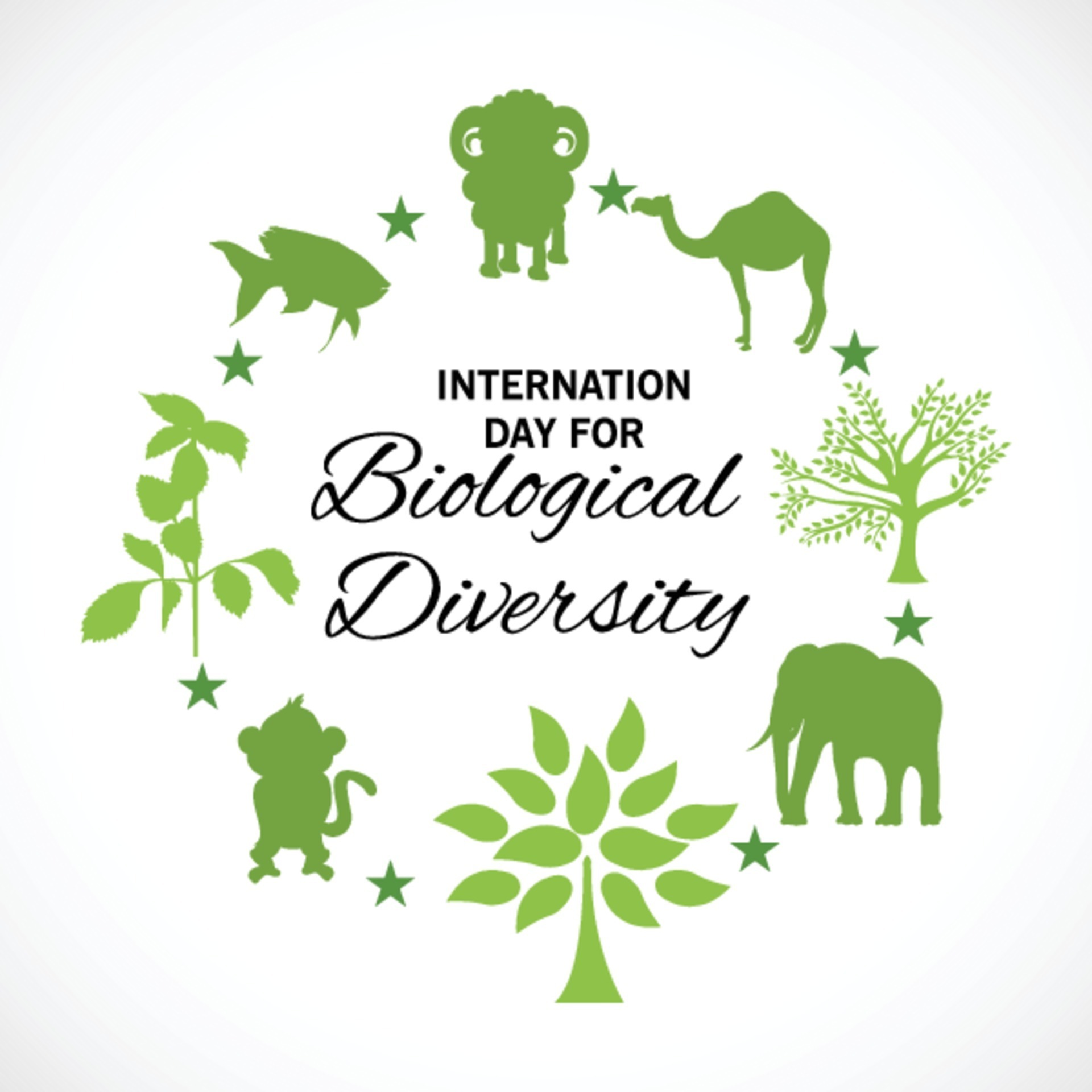 illustration of a Background for International Day for Biological
