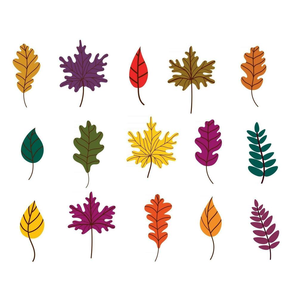 Set of  autumn leaves vector
