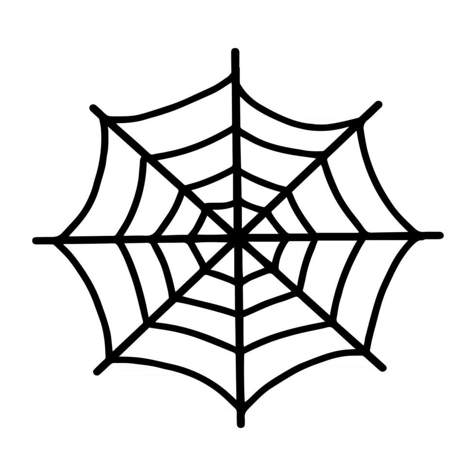 Spider web vector