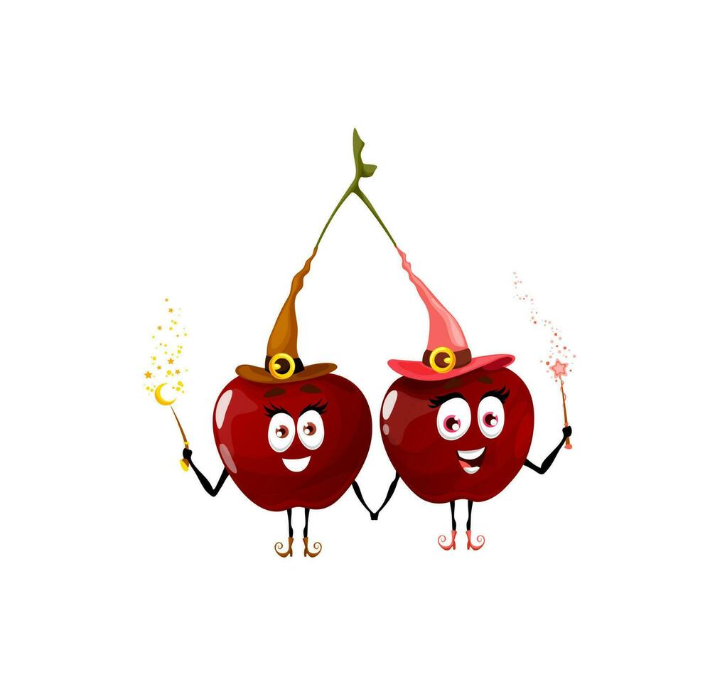 Fairy cherry twins, wizard berry cartoon character vector