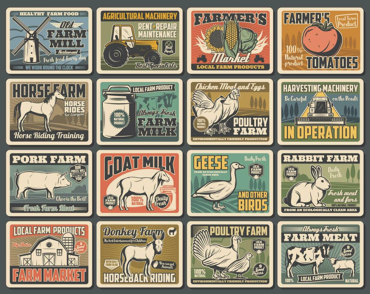 Agriculture retro posters, farm animals, vegetable vector