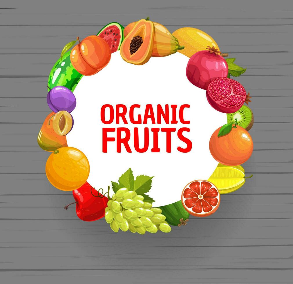 Fresh organic fruits mix cartoon round banner vector