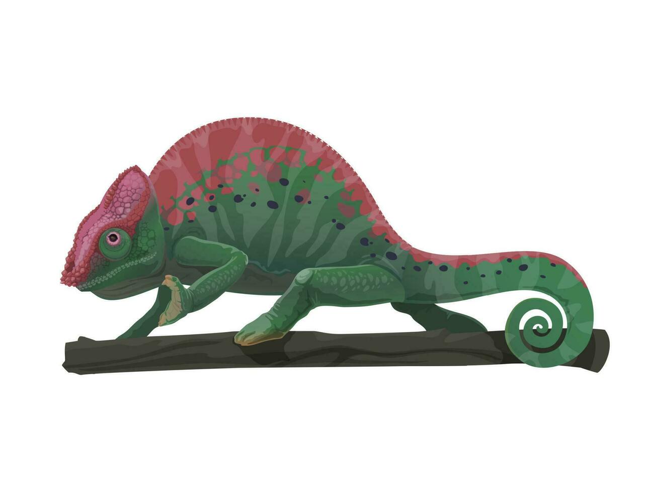 Chameleon lizard animal on tree branch, cartoon vector