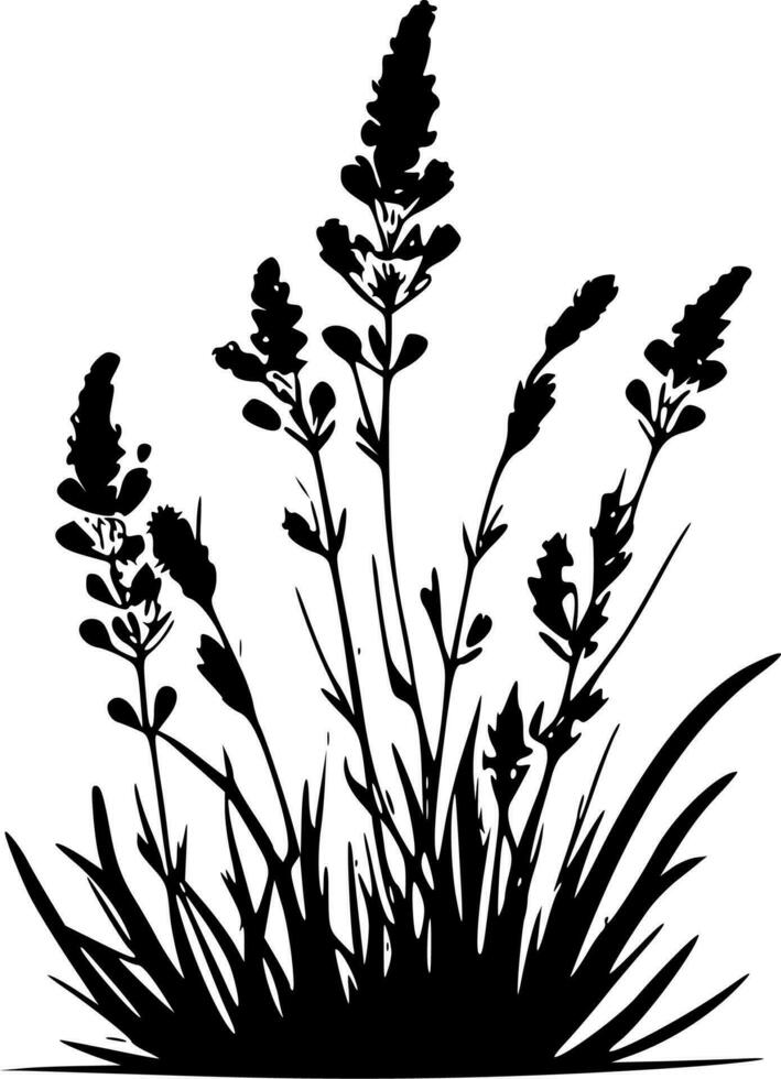 lavanda - negro y blanco aislado icono - vector ilustración